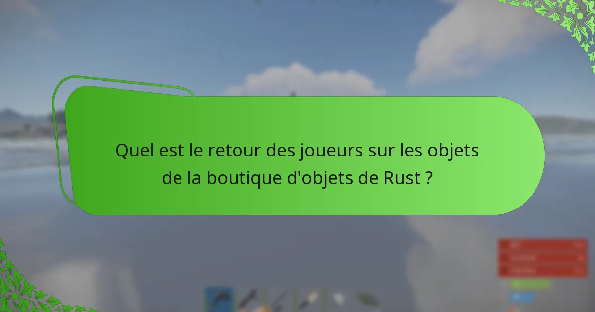 Comment la boutique d’objets de Rust se compare-t-elle à d’autres boutiques d’objets de jeux ?