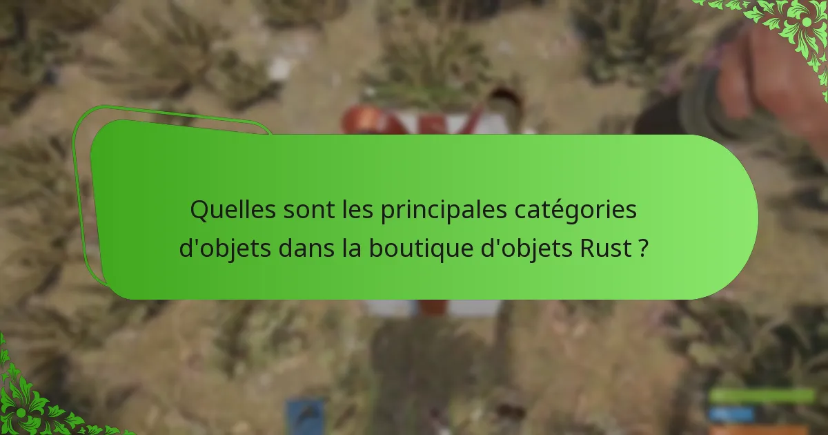Comment naviguer efficacement dans la boutique d’objets Rust ?